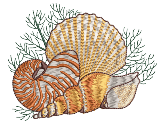 Coastal Seashell Design: A Maker’s Review