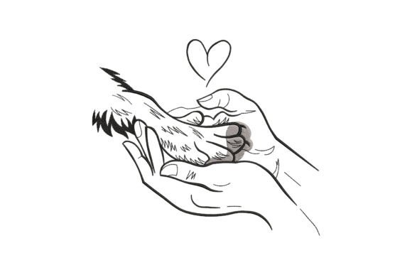 Dog Paw in Hands: A Designer’s Review